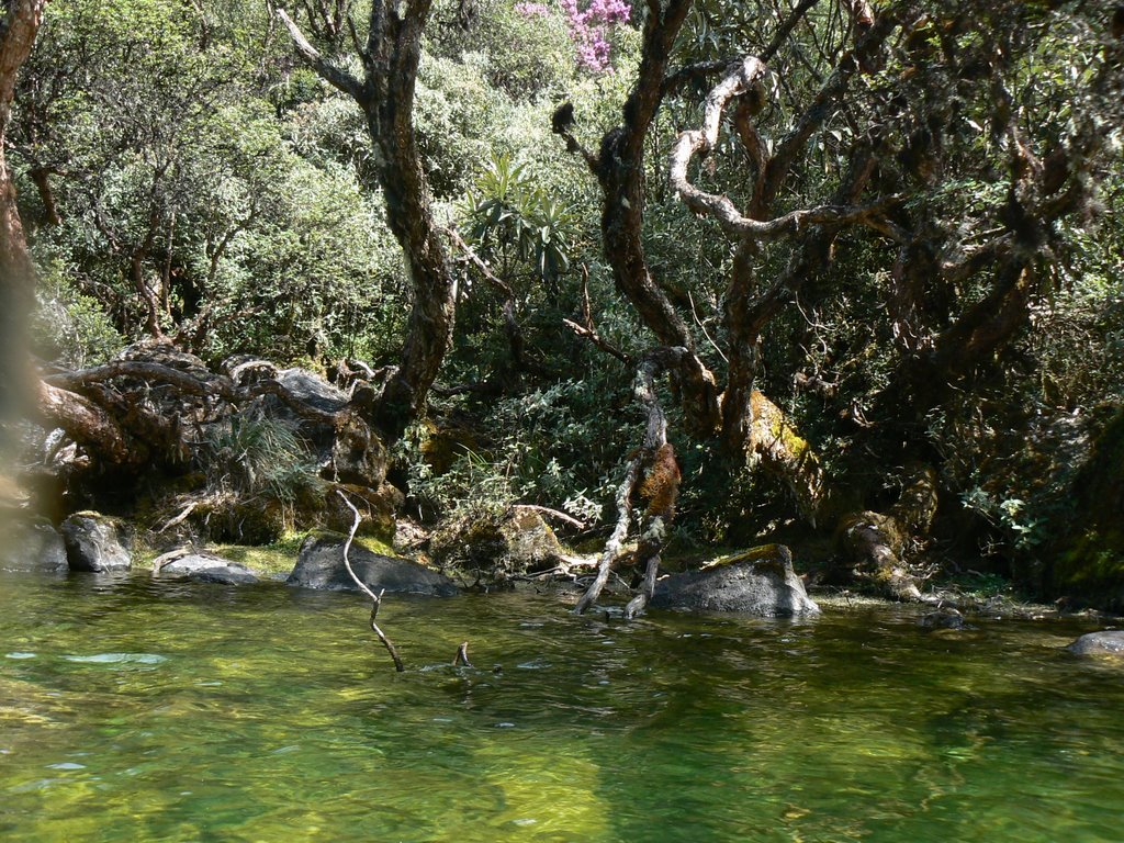 Vista oculta de la Laguna Negra by Hector Moy