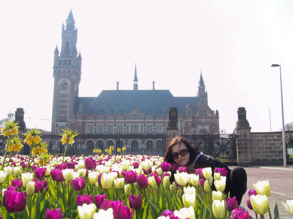 The Hague - Justice Palace by Piotr Cwiklinski