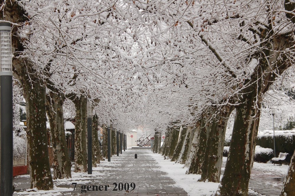 Passeig del Remei by fcalbet