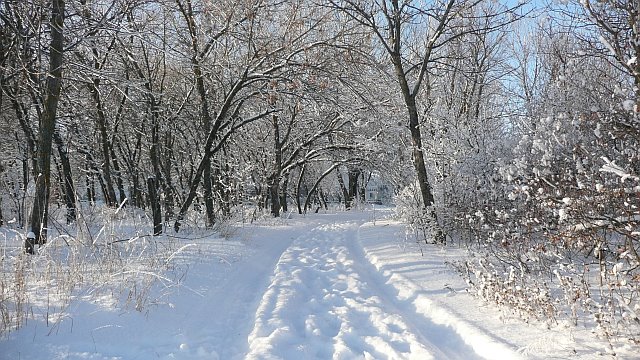 Приморский парк в сугробах by 000.999