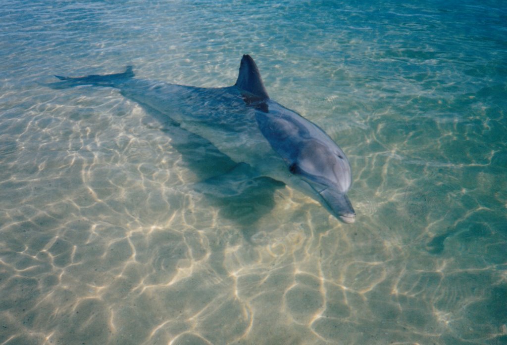 Nice to meet you! by Derek Snaith