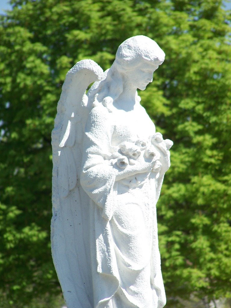 Angyal rózsákkal - Angel with roses by Gábor Nagy