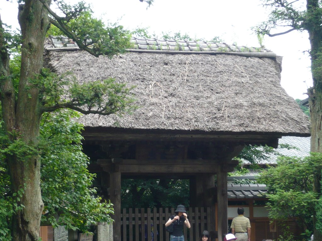 3 Chome Gokurakuji, Kamakura-shi, Kanagawa-ken 248-0023, Japan by orpheus_lin