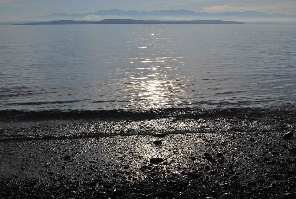 Beach at Ebey's Landing by C. Harmon