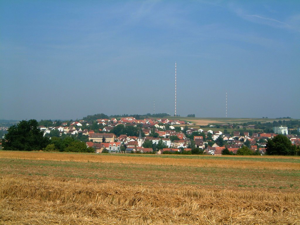 Lomersheim mit Sender by Manfred Läkemäker