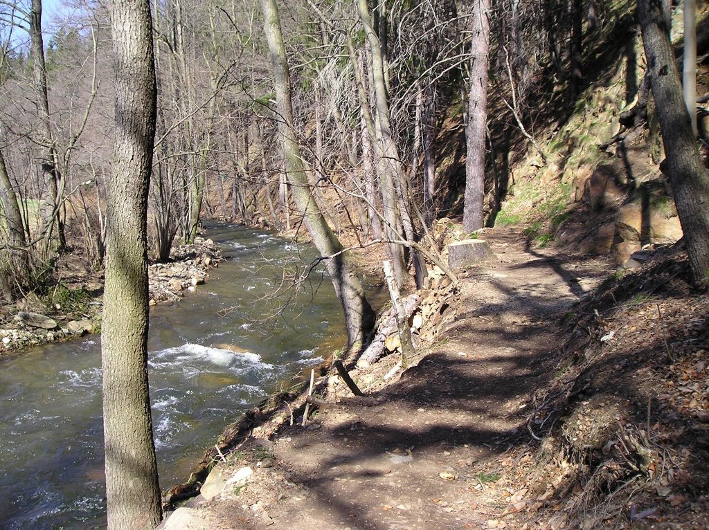 Wanderweg im Tal der wilden Weisseritz by AndyK [FG]