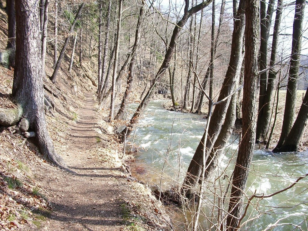 Wanderweg im Tal der wilden Weisseritz by AndyK [FG]