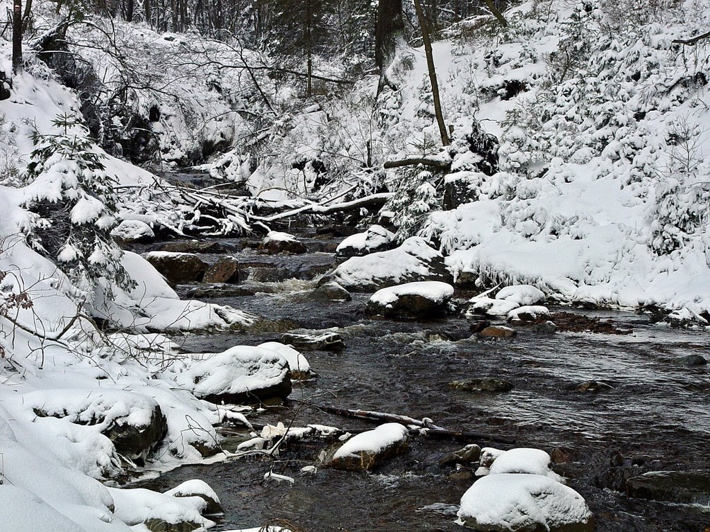 Bayehon river. Winter 2009 by andorraliechtenstein