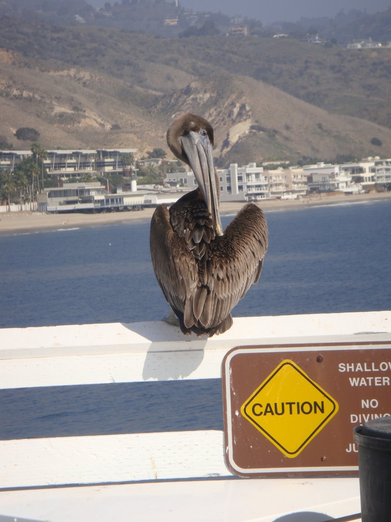 Malibu, CA, USA by abeltrao