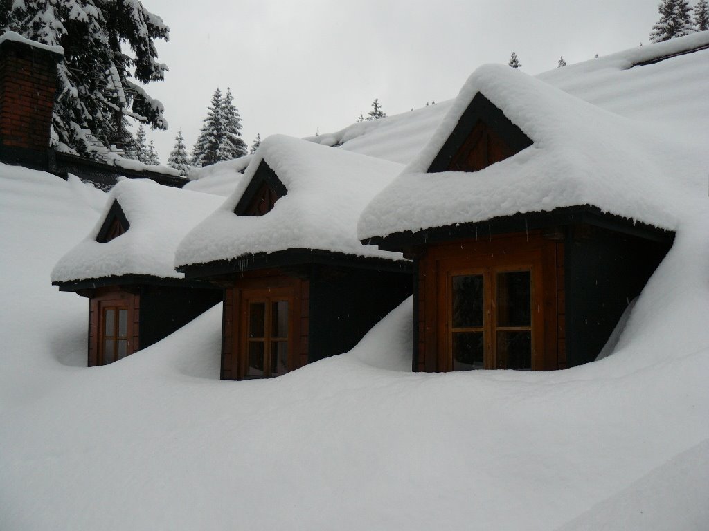 Tatry - Schronisko w Dol. Roztoki (The Tatras - Mountain hut in Roztoka Valley) by qra