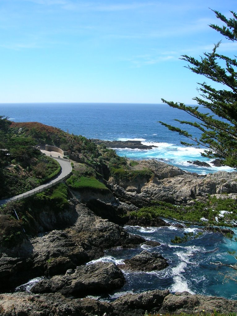 17 mile trail Pebble Beach by grlanders