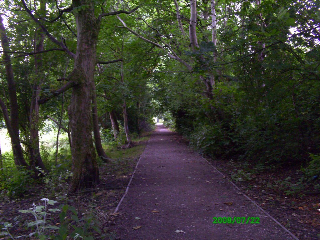 Neglected cemetary at Brookfield Church, Gorton, Manchester by Andrew Lane