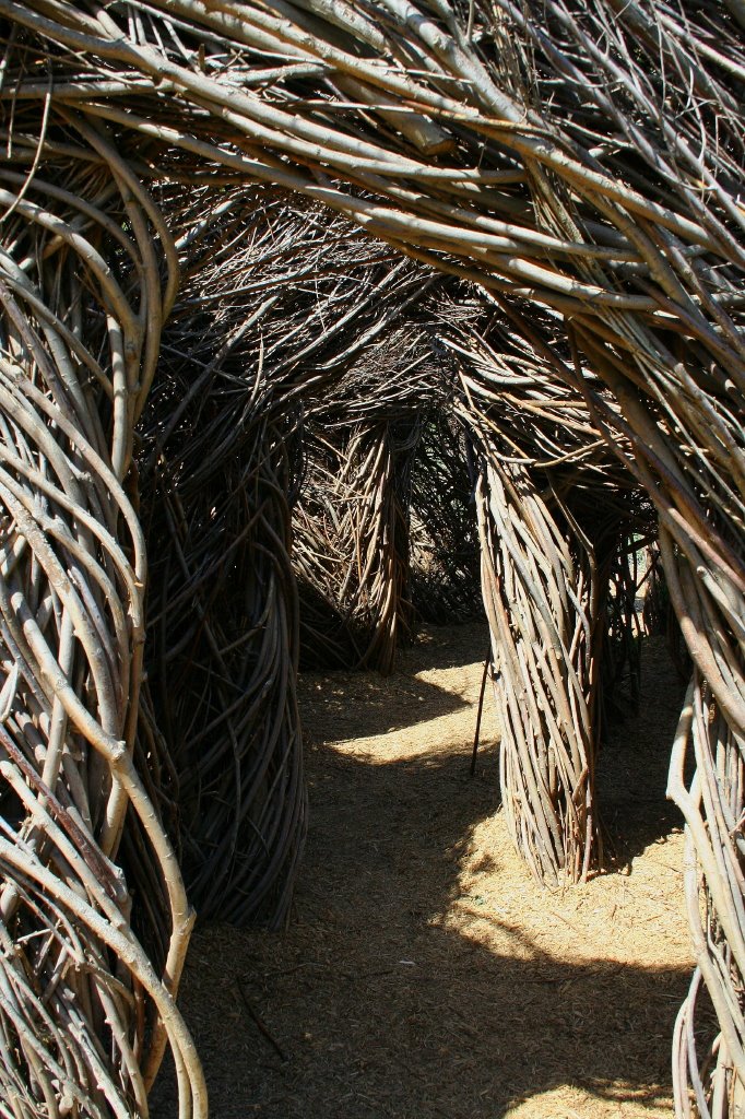 Vine arches by dapage