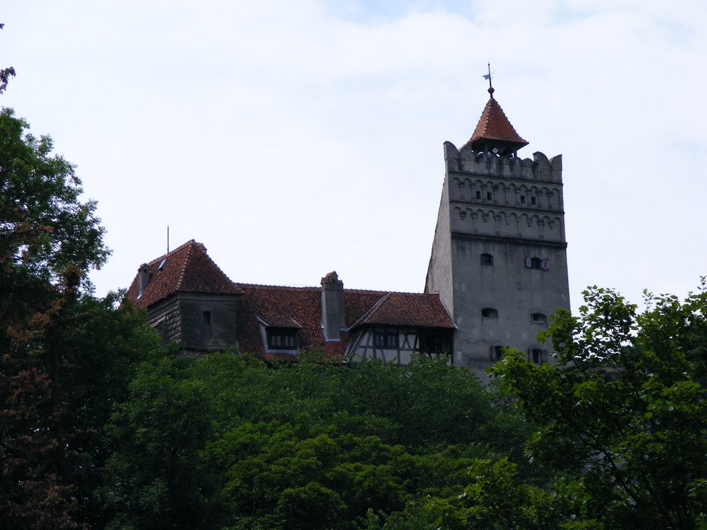 Bran Castle by Svetozar Matev