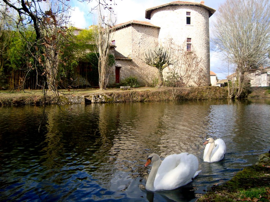 Château des Ducs by Sémoy