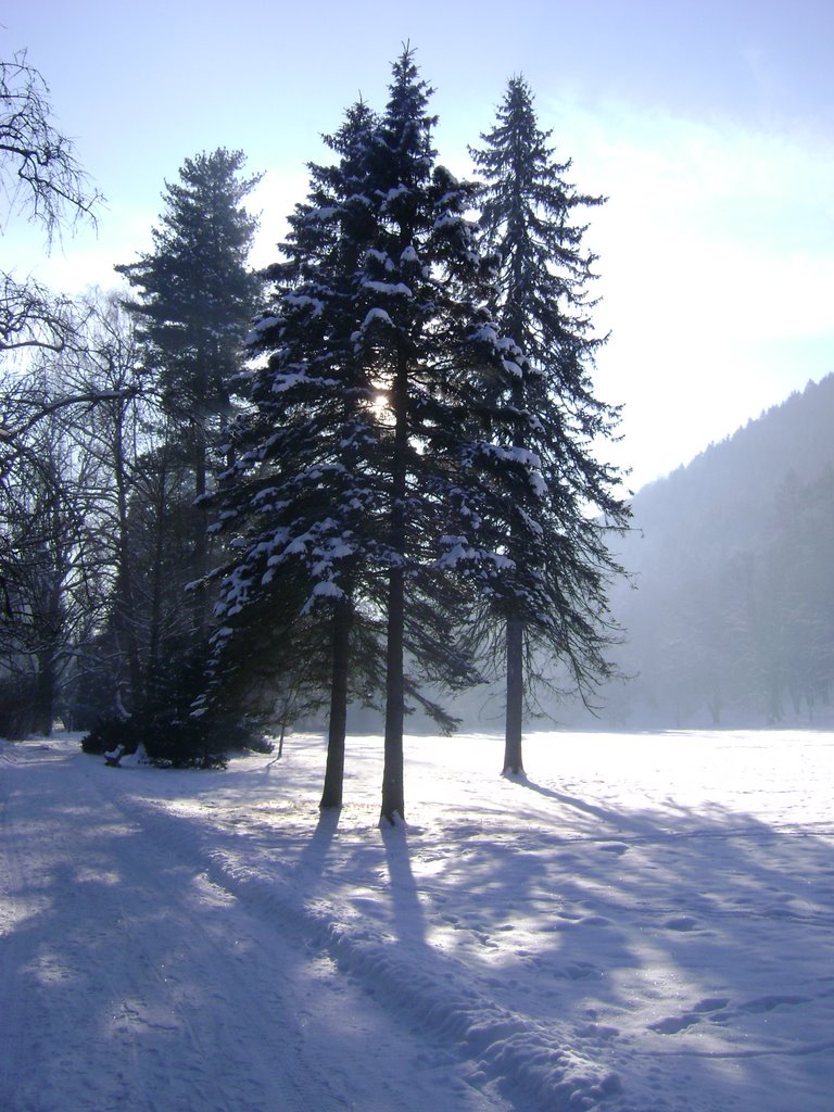 Park, Tur.Štiavnička by dzachar