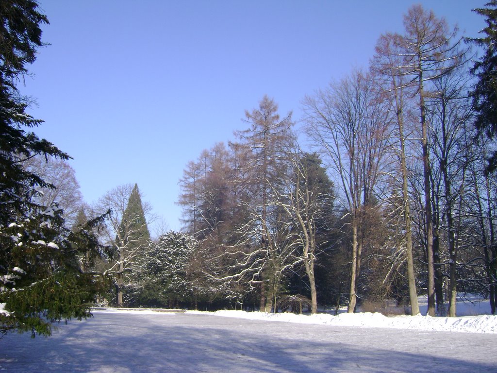 Park, Turč. Štiavnička by dzachar