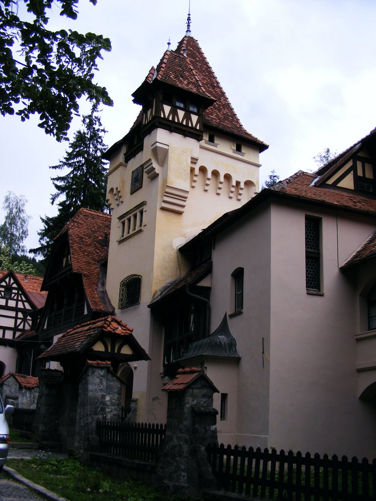 Peles Castle, Sinaia by Svetozar Matev