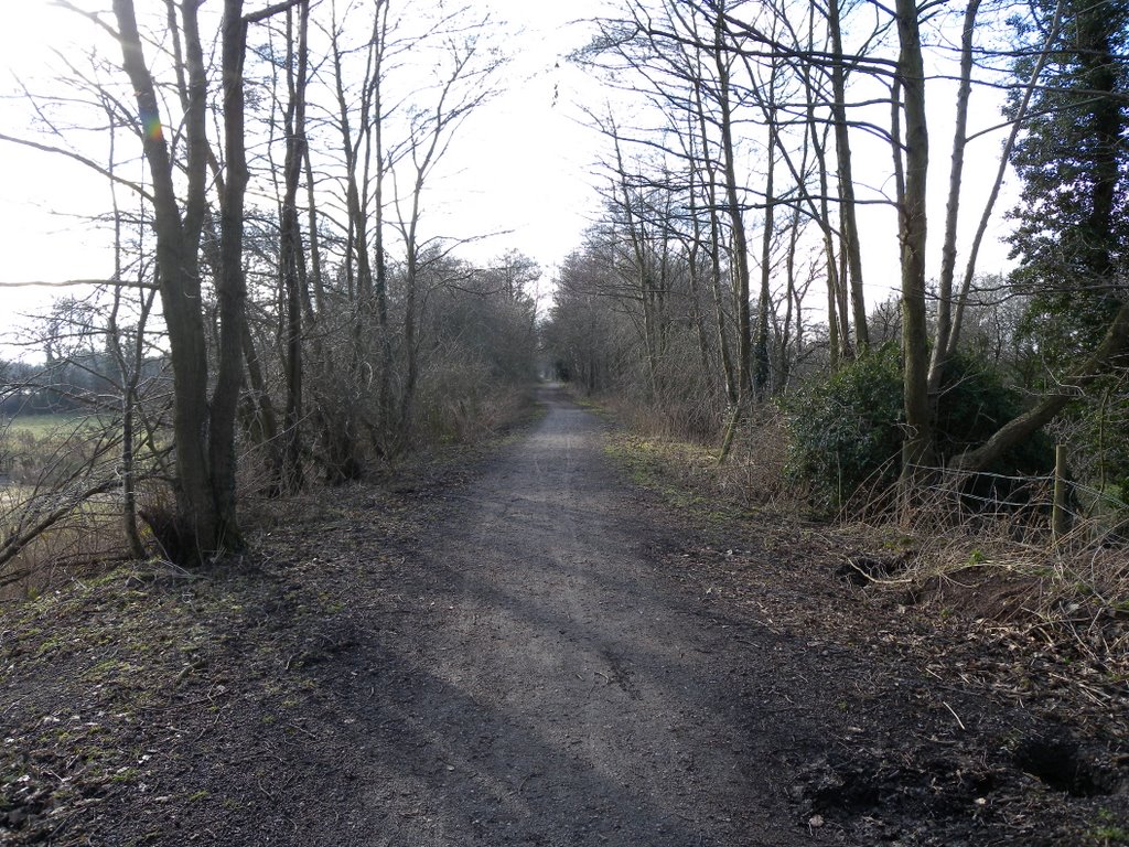 Disused railway by SPJ58