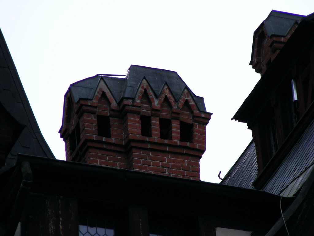 Peles Castle, Sinaia by Svetozar Matev