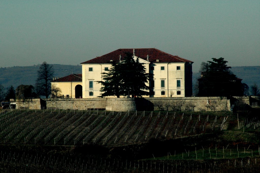 villa Da Porto "la Favorita" arch. F Muttoni       1714/15 by Flaviano Pellizzaro