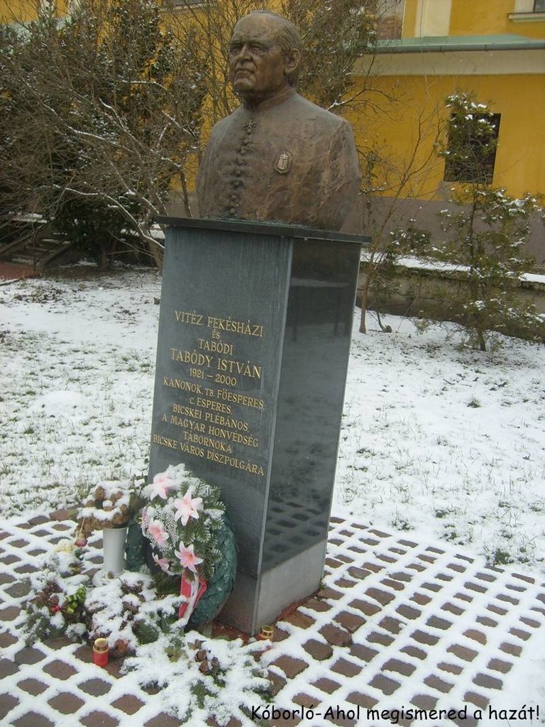 Tabódi István szobor by Erki Ádám