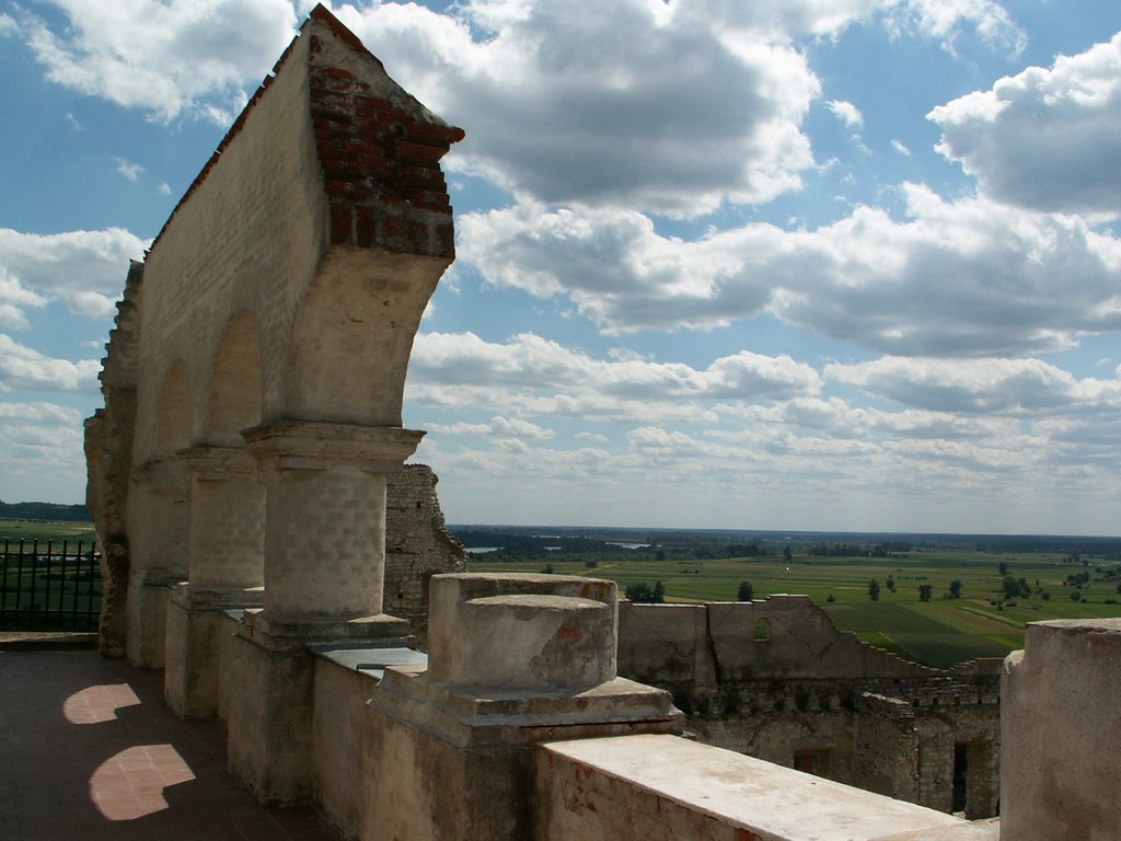 Zamek w Janowcu / Janowiec Castle by cvn i tapir