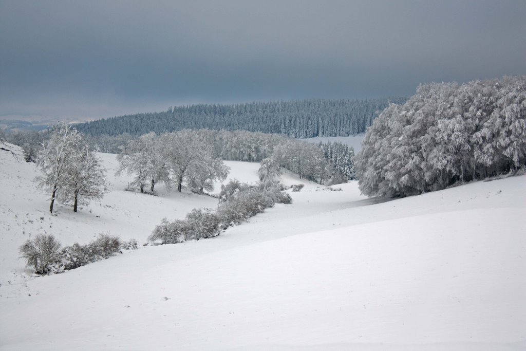 Tout blanc ! by sylvain bruneaud