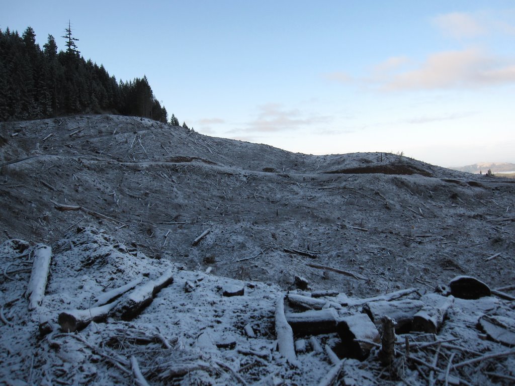 Clearcut on Lane Mountain by kayak_guru