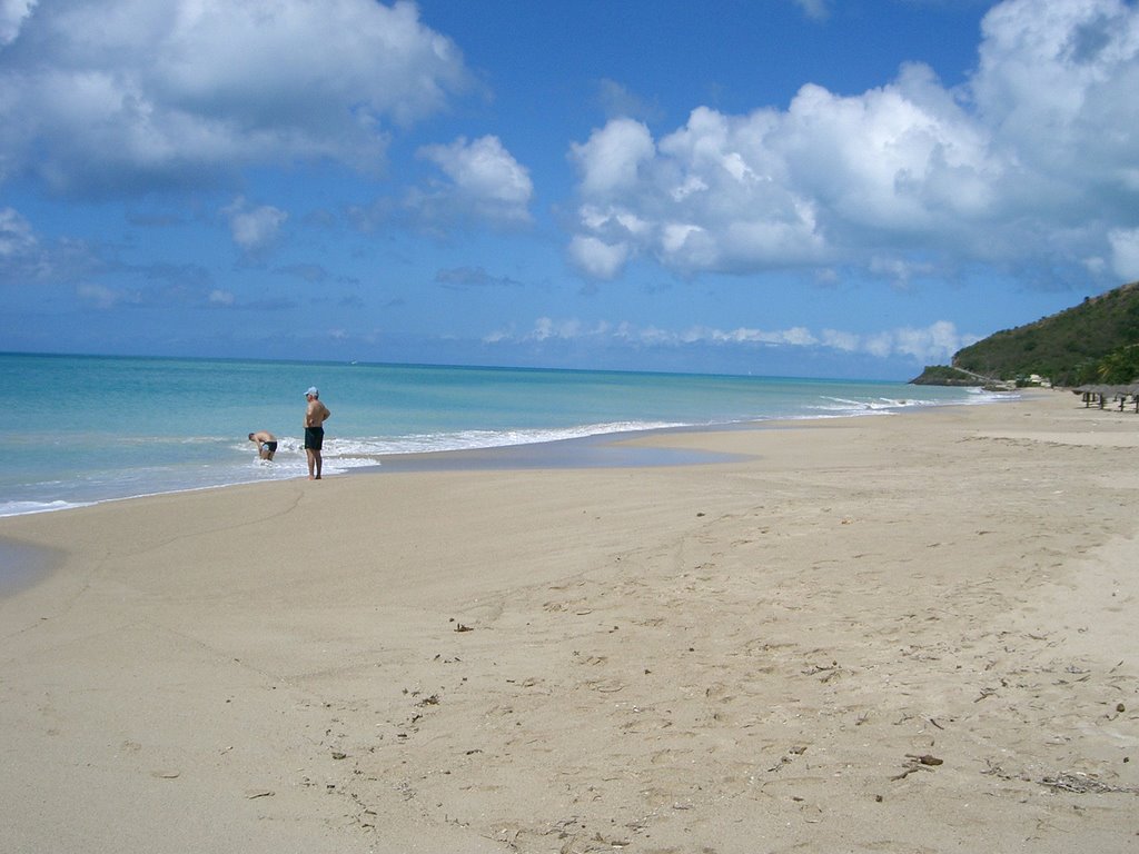 Turners Beach Antigua by Bill Cook