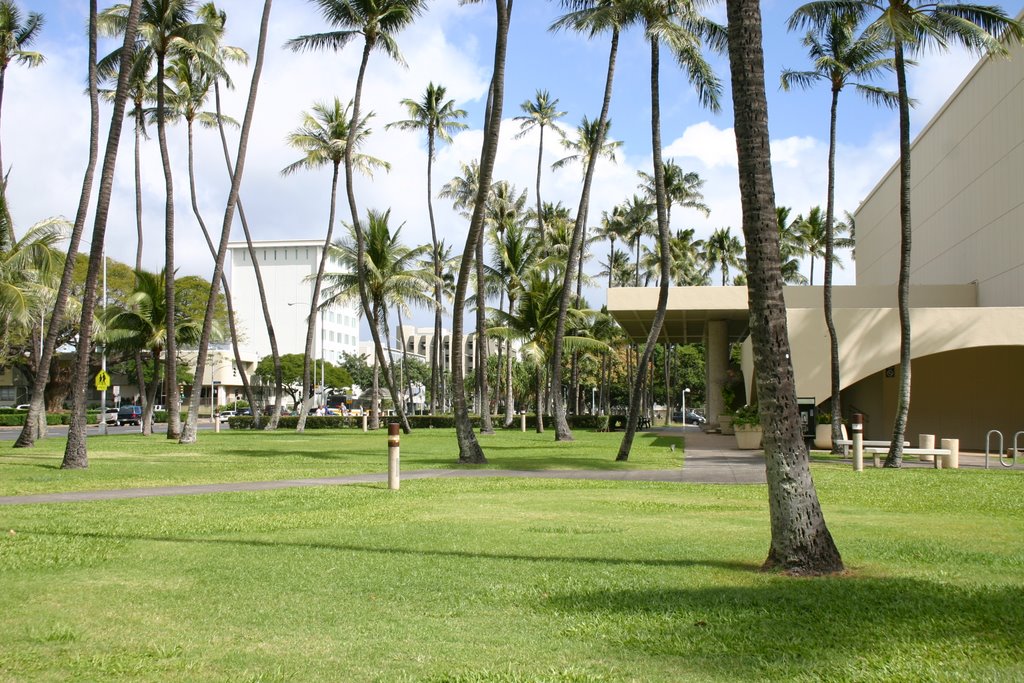 In front of the Blaisdell concert hall by Vendetta86