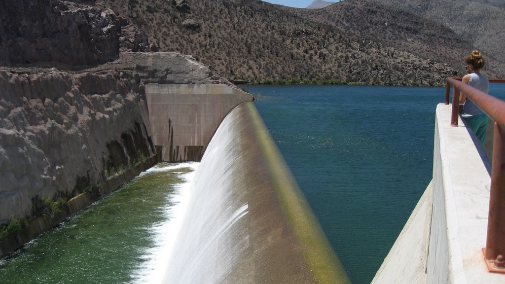 Embalse Puclaro by Pistolocl