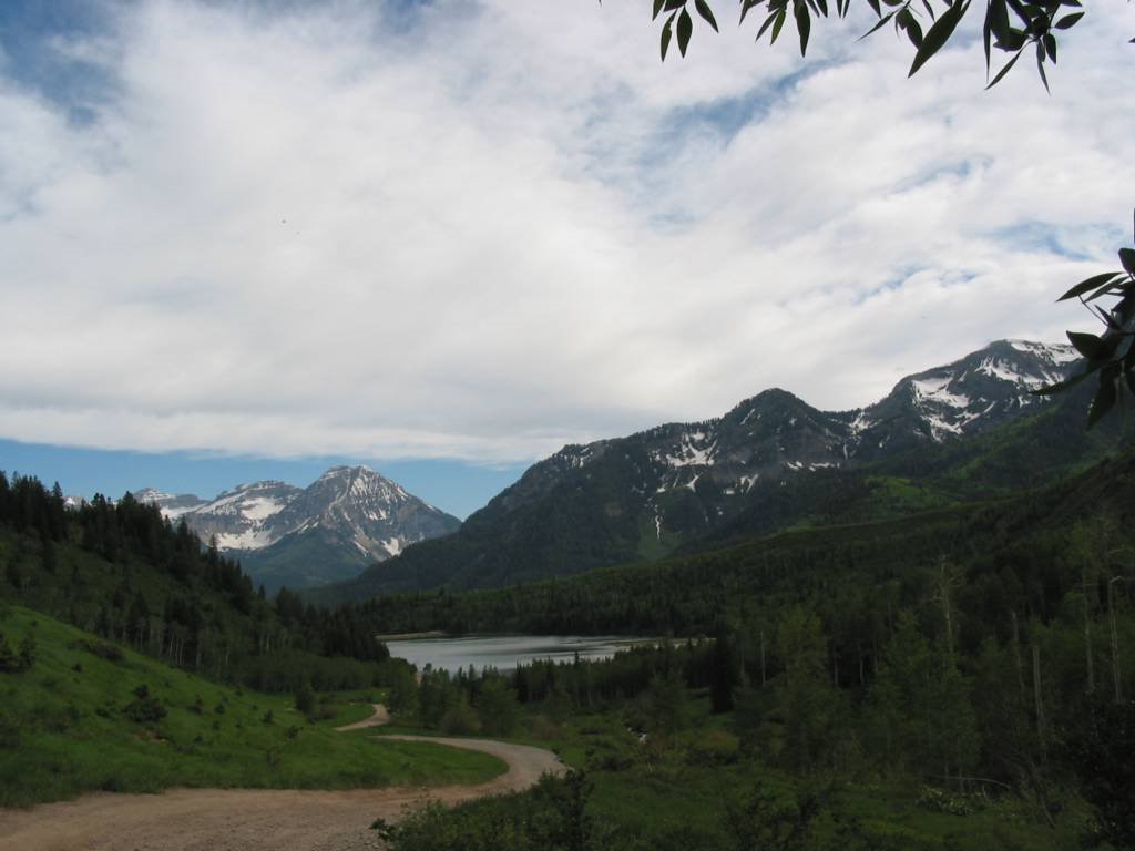 Silver Lake Flat, Uinta National Forest by Albert Li