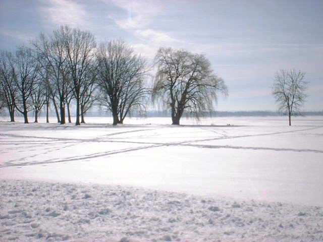 Onondaga Lake Park in Winter by Irishize