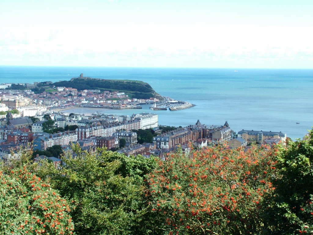 Vie from Olivers Mount of Scarborough Castle by jbphotos1