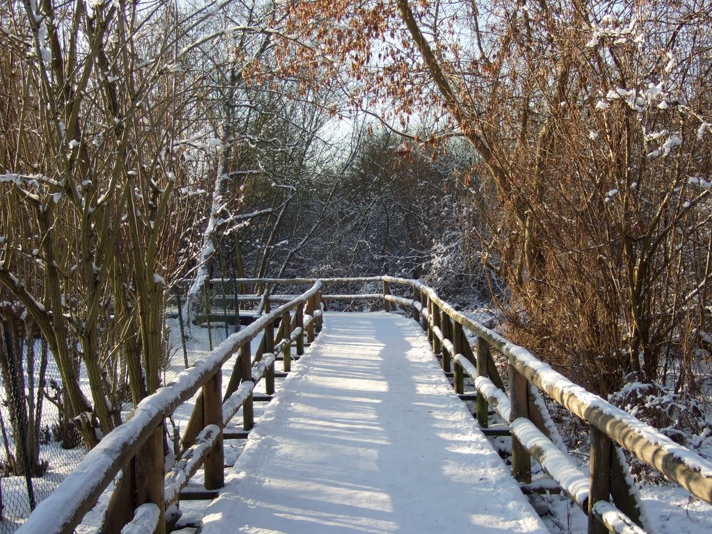 Winterwanderung am Tegeler Fließ by piksieben@web.de