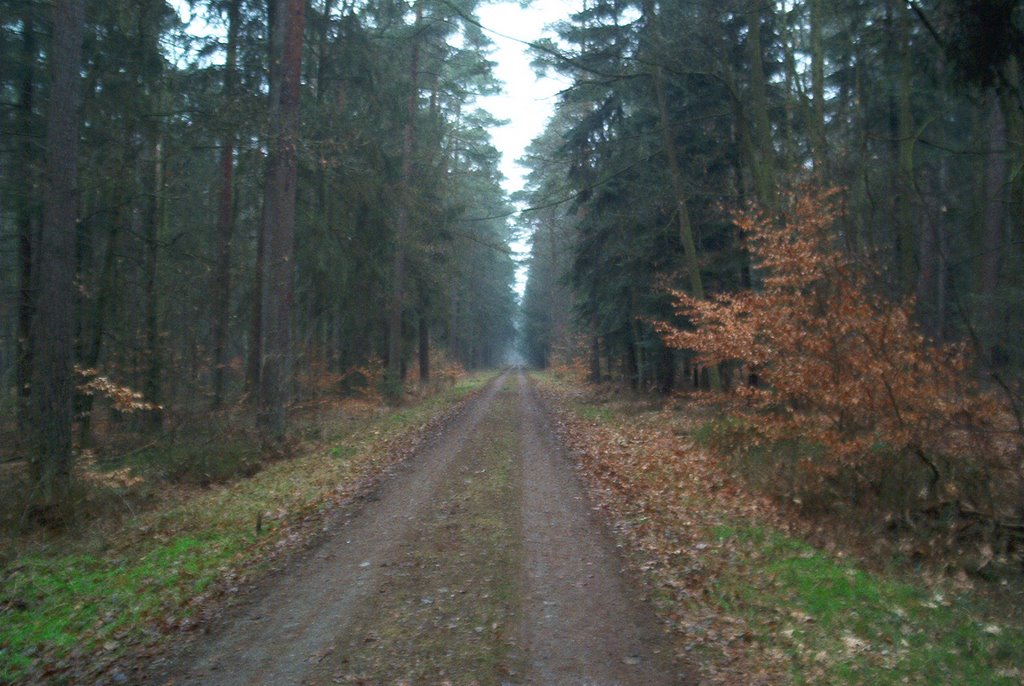 23847 Bliestorf, Germany by Thomas Richter