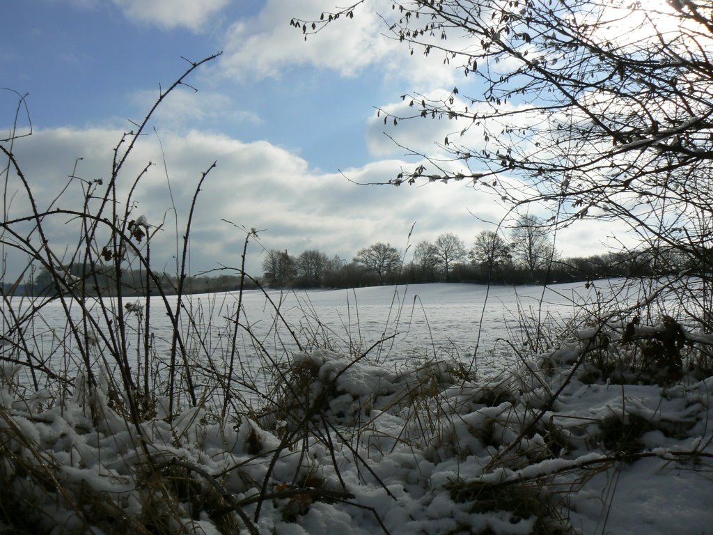 Winterwelt by Bea und Uwe