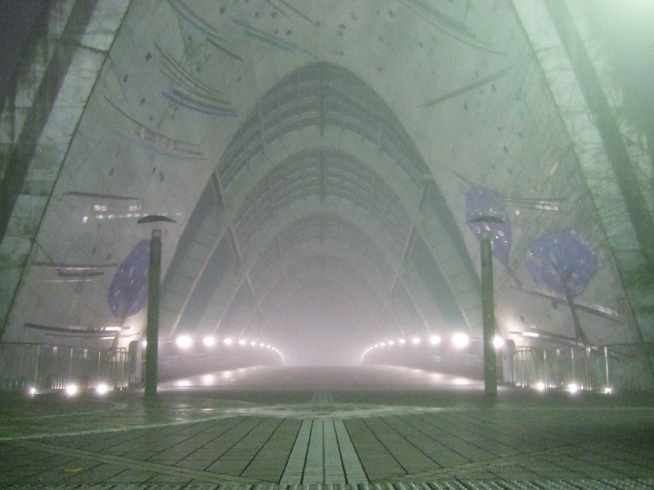 Century Oh-hashi Bridge （夜霧のセンチュリー大橋） by hiro.n