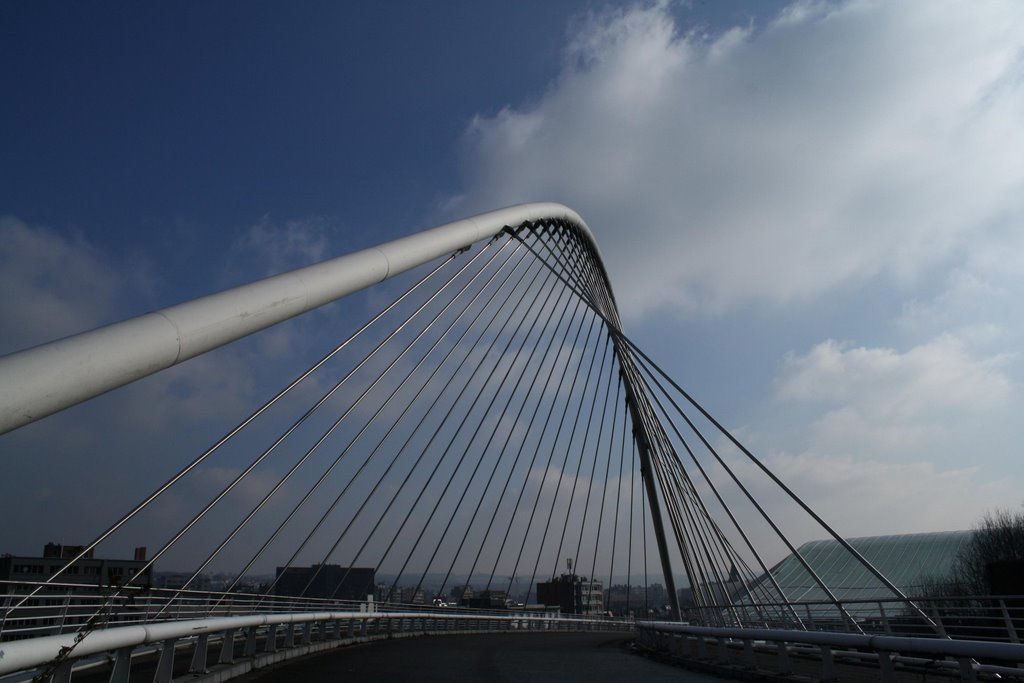 Passerelle Calatrava by Albert Berlemont