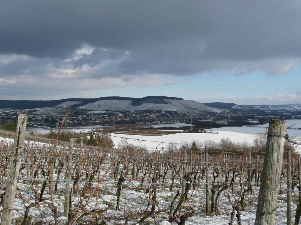 Heilbronn, Stuftsberg, Blick Richtung Erlenbach by resslinger