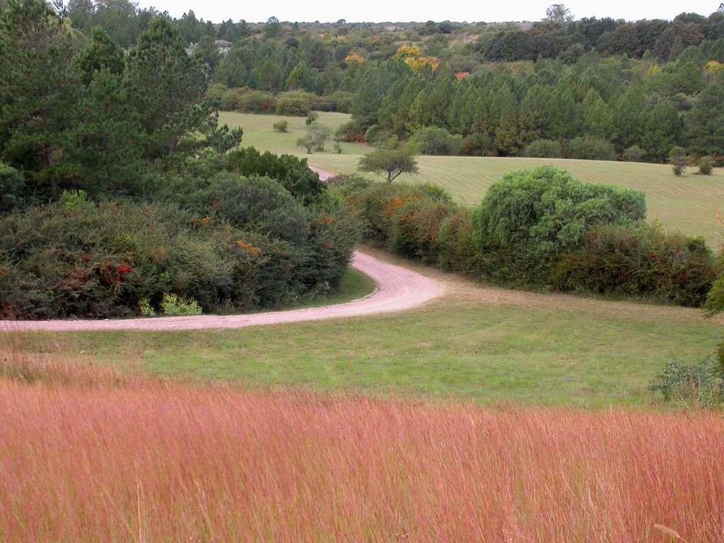 Parque en la Meseta de Artigas by Hugo Lopez