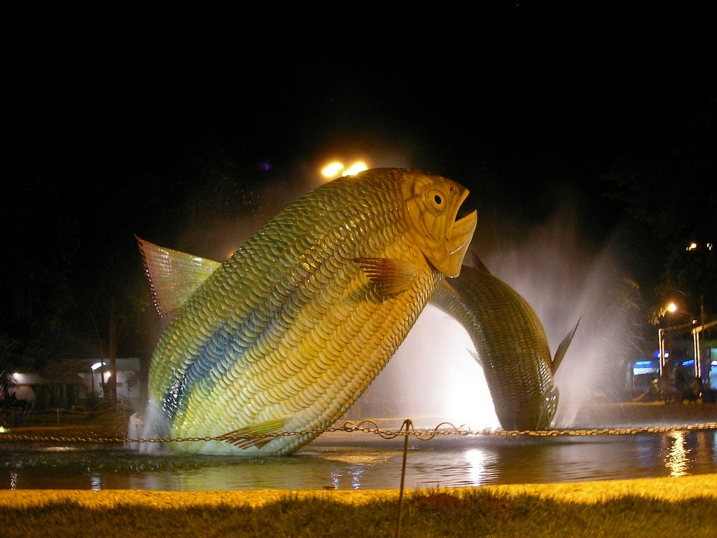 Bonito, The Piruputanga Monument by Neil Hunter