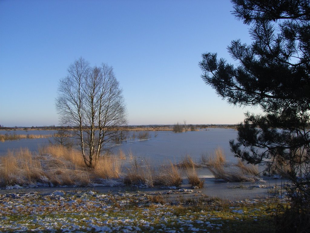 Weites Moorland im Winter, mein liebstes Motiv by Bernd Tschackert