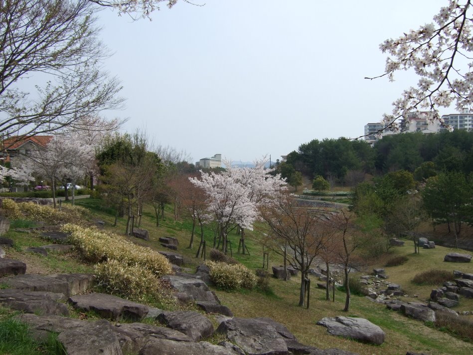 Hiratani-gawa ryokuchi - spring （平谷川緑地 - 春） by hiro.n