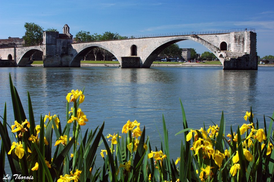 Avignon by Patrick LeThorois