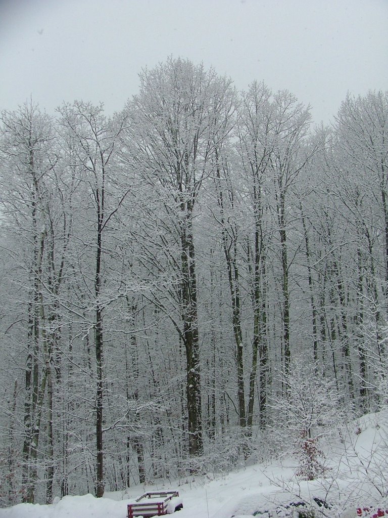 Valley road winter by sclarkee