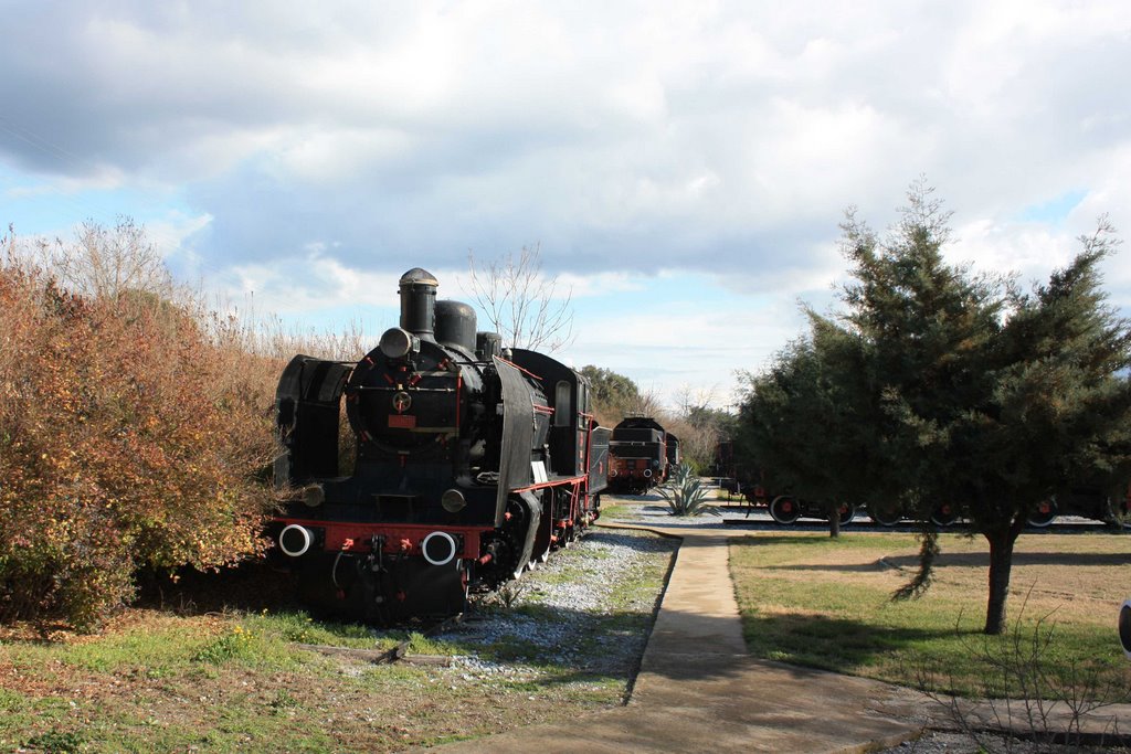 Locomotives by Stewart Seman