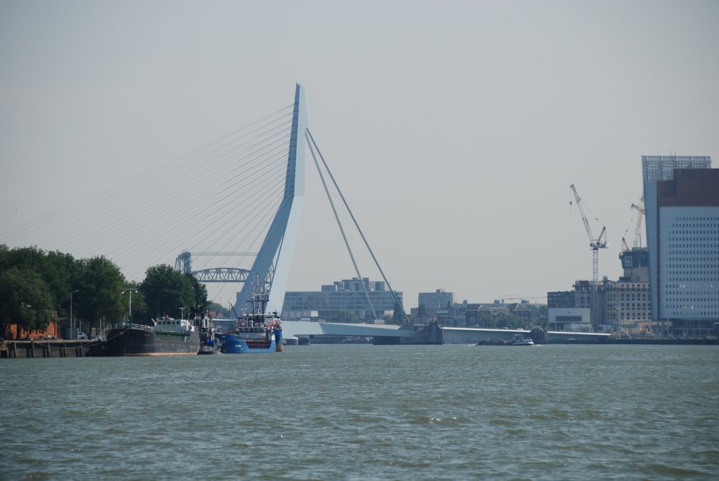 Erasmusbrug Rotterdam by BasdeLeeuw