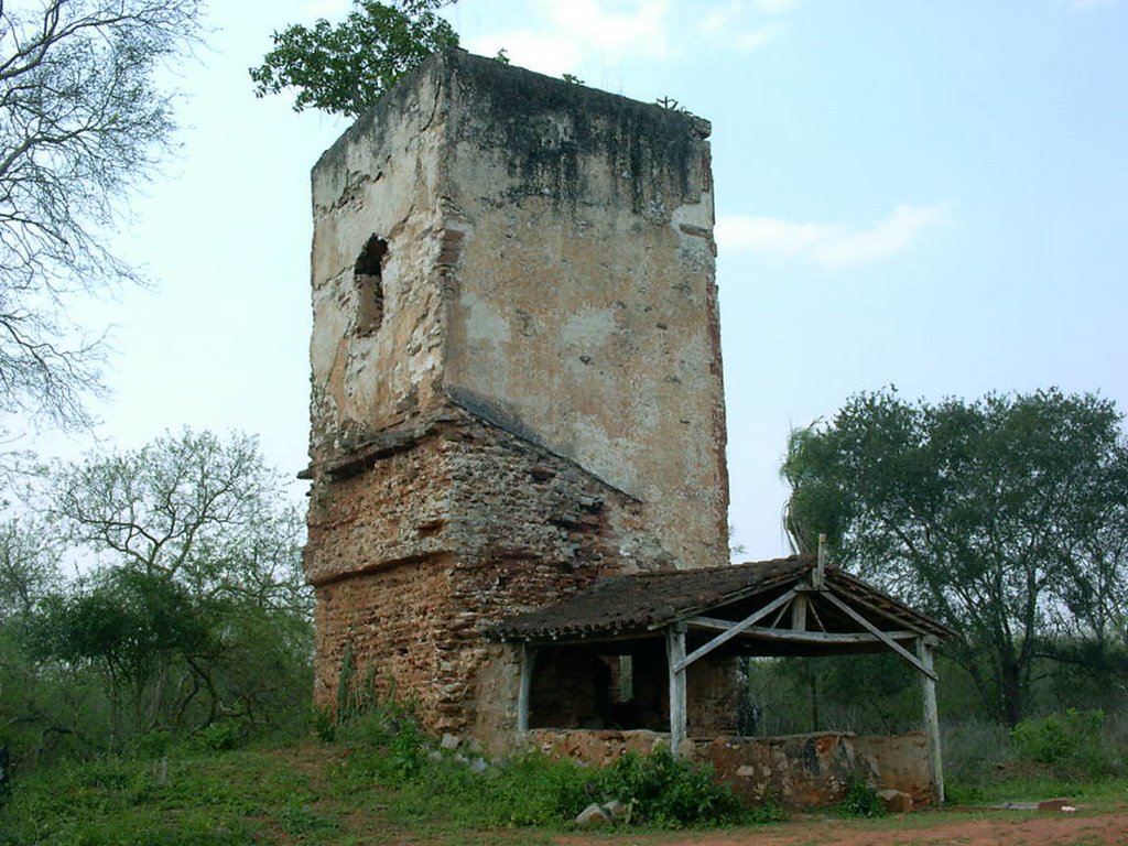 Ruinas Misión Taperas by wesquerdo